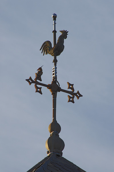Huppe fascie et coq de l'glise