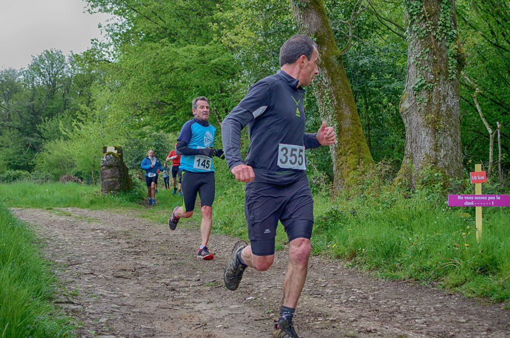 Trail 2019