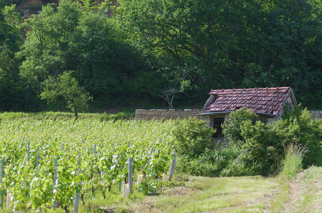Cabane à Culles les Roches