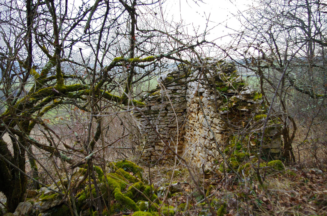 Cabane à Culles les Roches