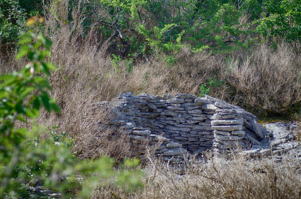 Cadole à "La Roche"