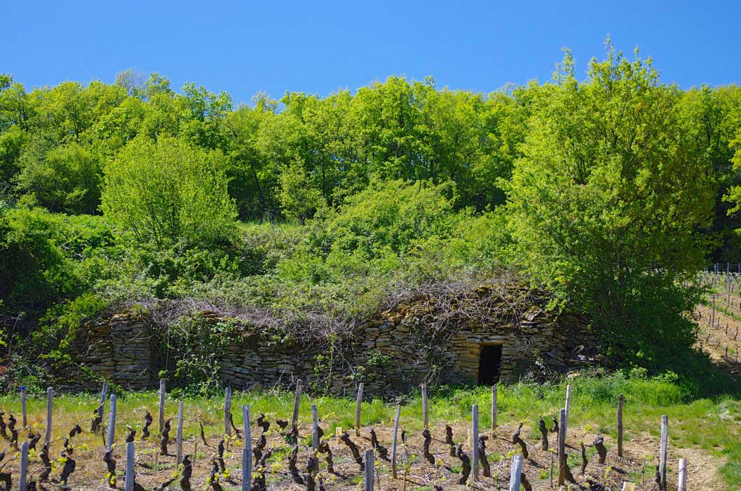 Cadole à Culles les Roches
