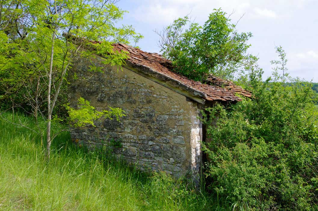 Cabane à Culles les Roches