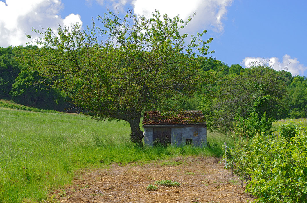 Cabane à Culles les Roches