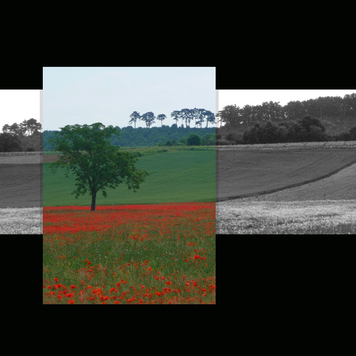 Photo vers Cormatin - coquelicots