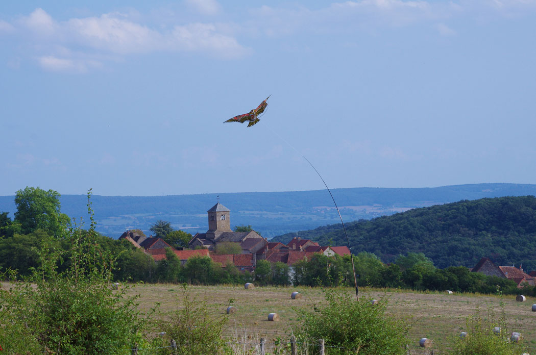 Culles-les-Roches. Faucon plerin