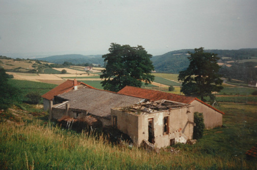 La pltrire du mont Bouzu  Culles les Roches