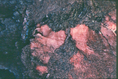Mine de gypse  Culles les Roches