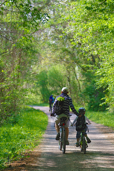 Photo de cyclistes sur la voie ferre